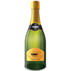 bottiglia di champagne