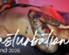 Masturbation Day 💦 Scopri i Campioni dell’Autoerotismo CAM4 🔥