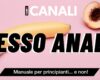 Come fare Sesso ANALE 🍑 La guida per iniziare! 👅